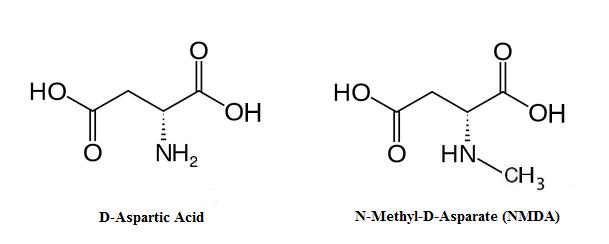 nmda d-aspartic acid