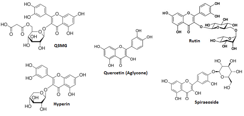galactose has following structure the Side  Quercetin Review on Usage, Dosage, Scientific
