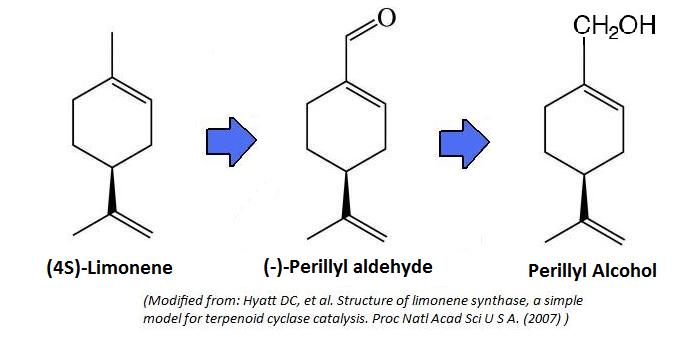 Limonene - Scientific Review On Usage, Dosage, Side Effects | Examine.com