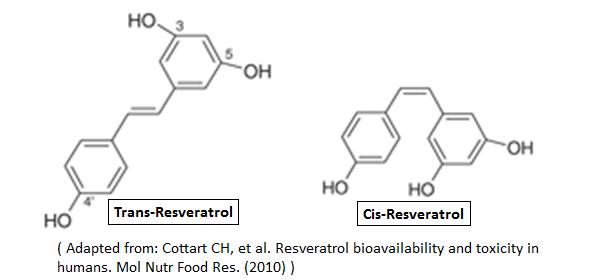resveratrol ترجمة ثبات ثلاثية