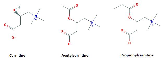 acetyl l carnitine 500 mg