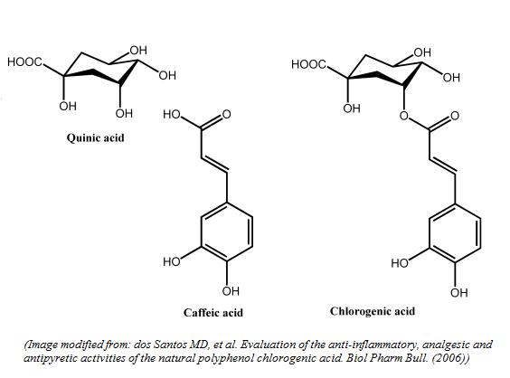 Αποτέλεσμα εικόνας για caffeic acid chlorogenic acid