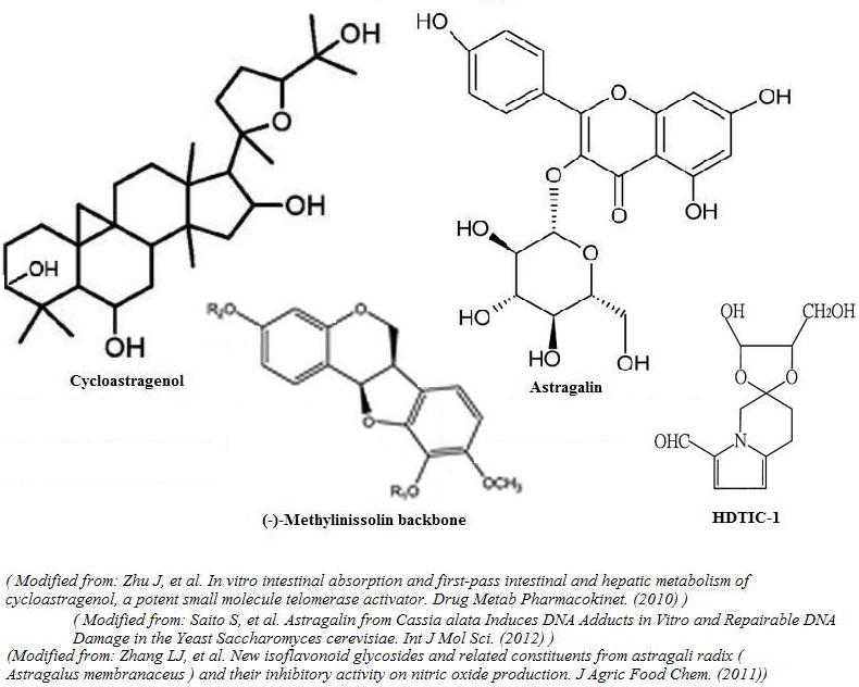 Astragalus Membranaceus - Scientific Review On Usage, Dosage, Side ...